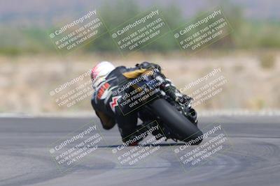 media/Oct-01-2023-SoCal Trackdays (Sun) [[4c570cc352]]/Turn 14 Backside (1120am)/